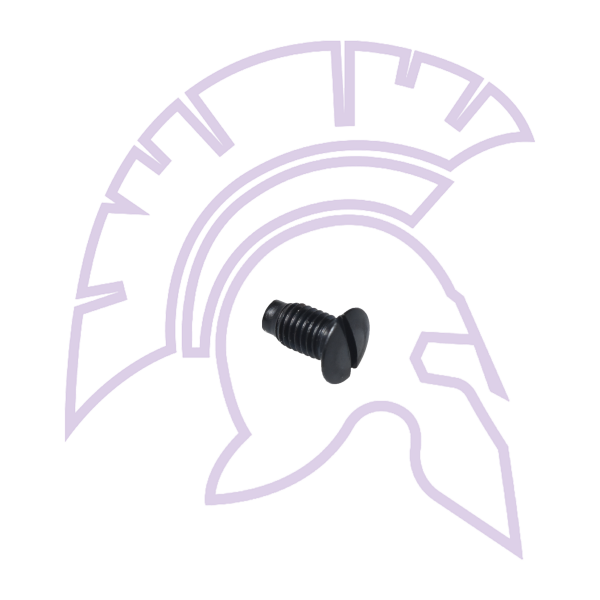 691 Plate Screw